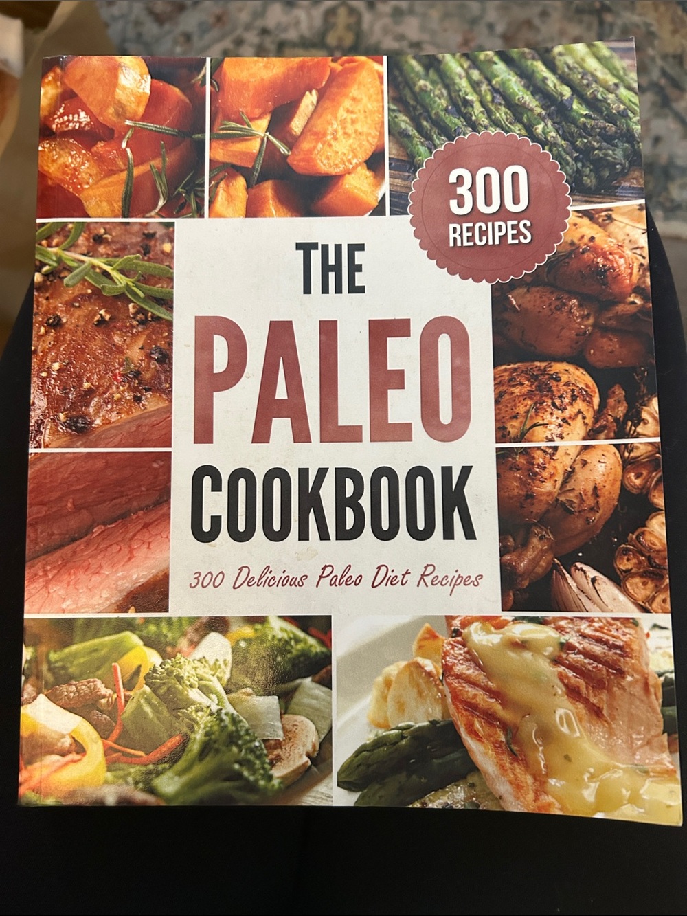 The Paleo Cookbook 300 Delicious Paleo Diet Recipes paperback